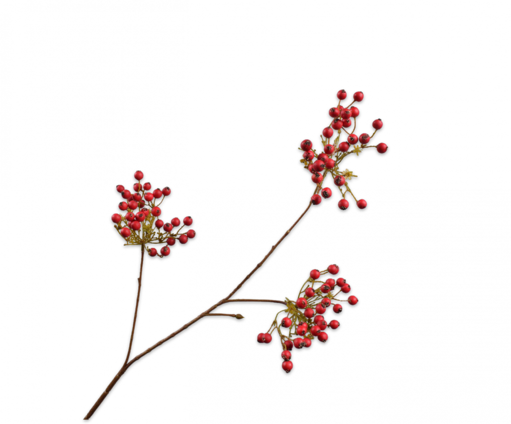 Berries | Baies 67cm Red