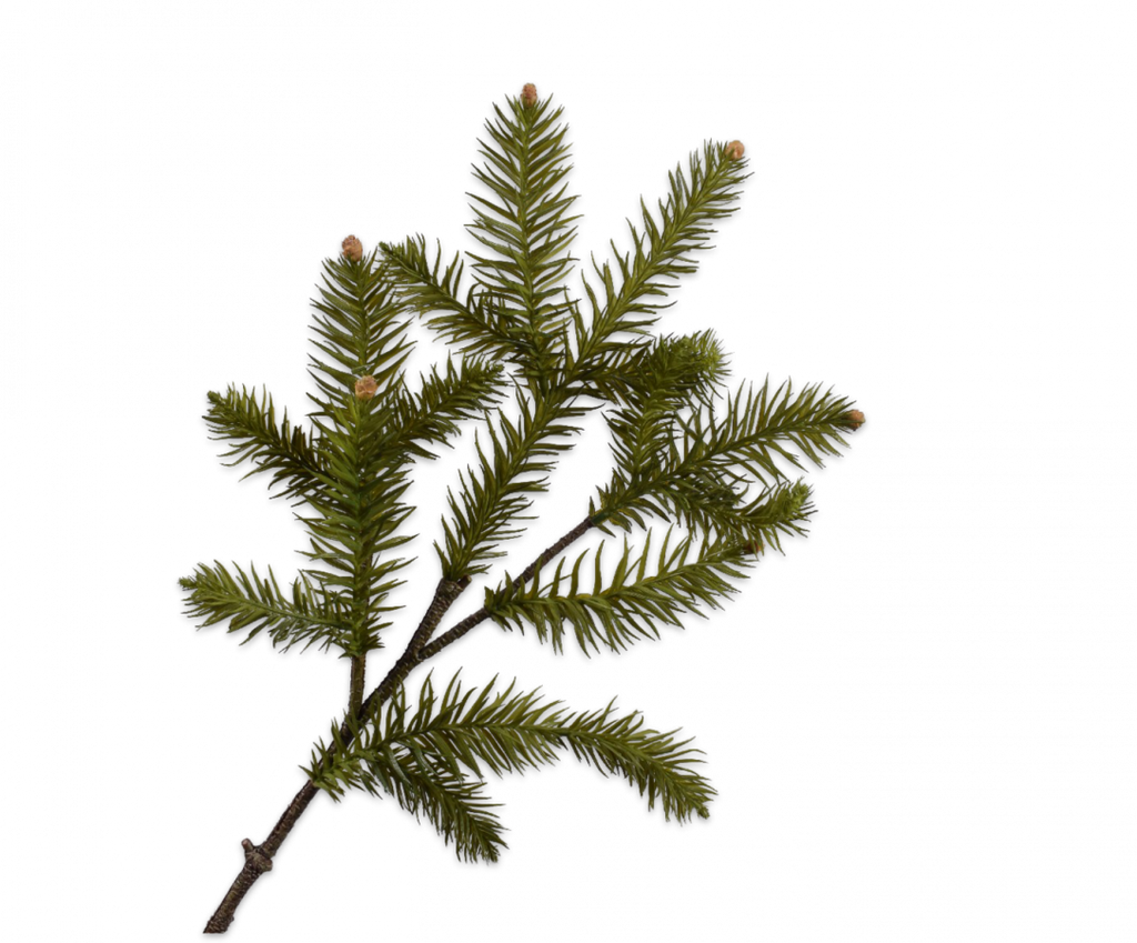 Pine | Pin 84cm Green
