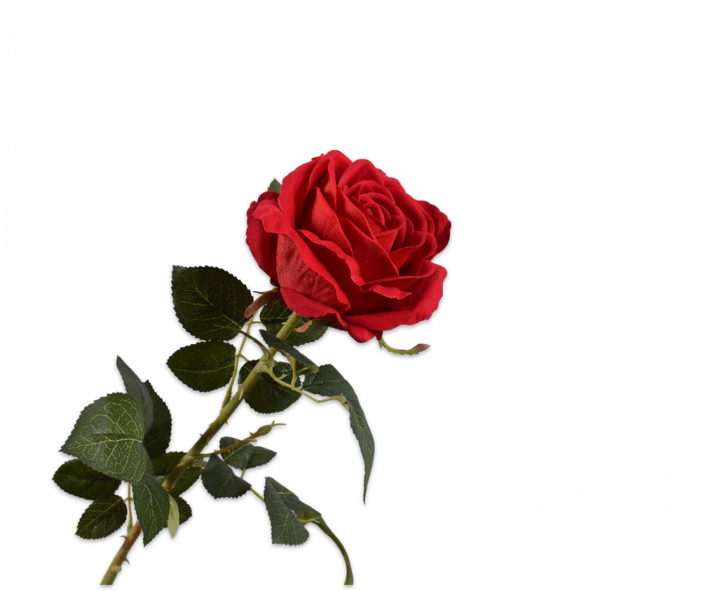 Rose 79cm Red