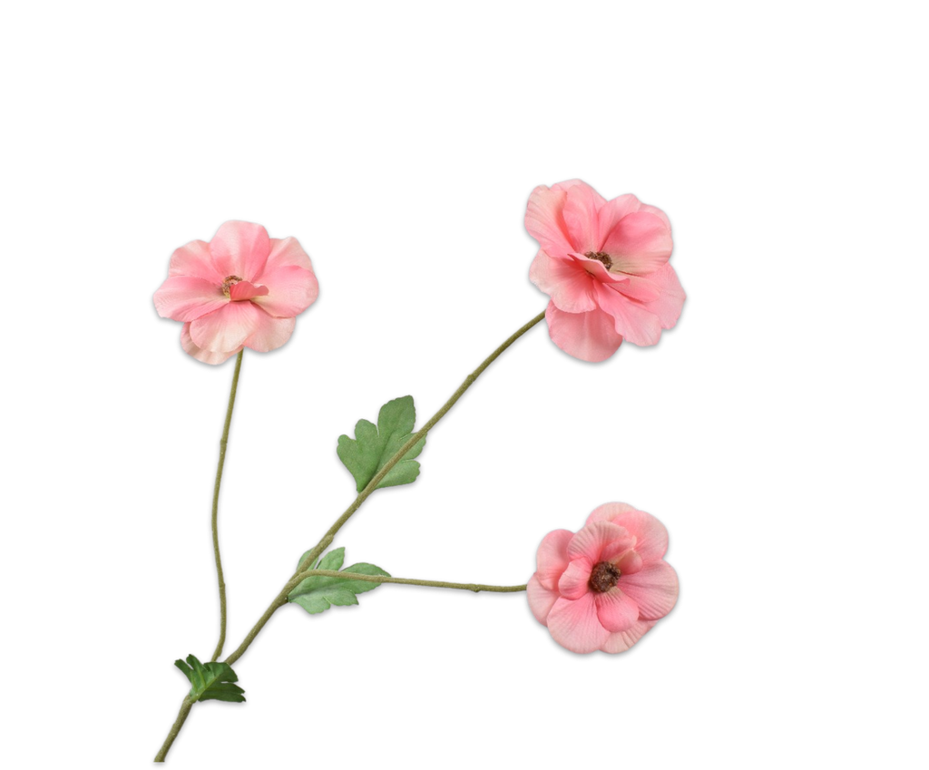 Ranunculus | Renoncule 61cm Peach Pink