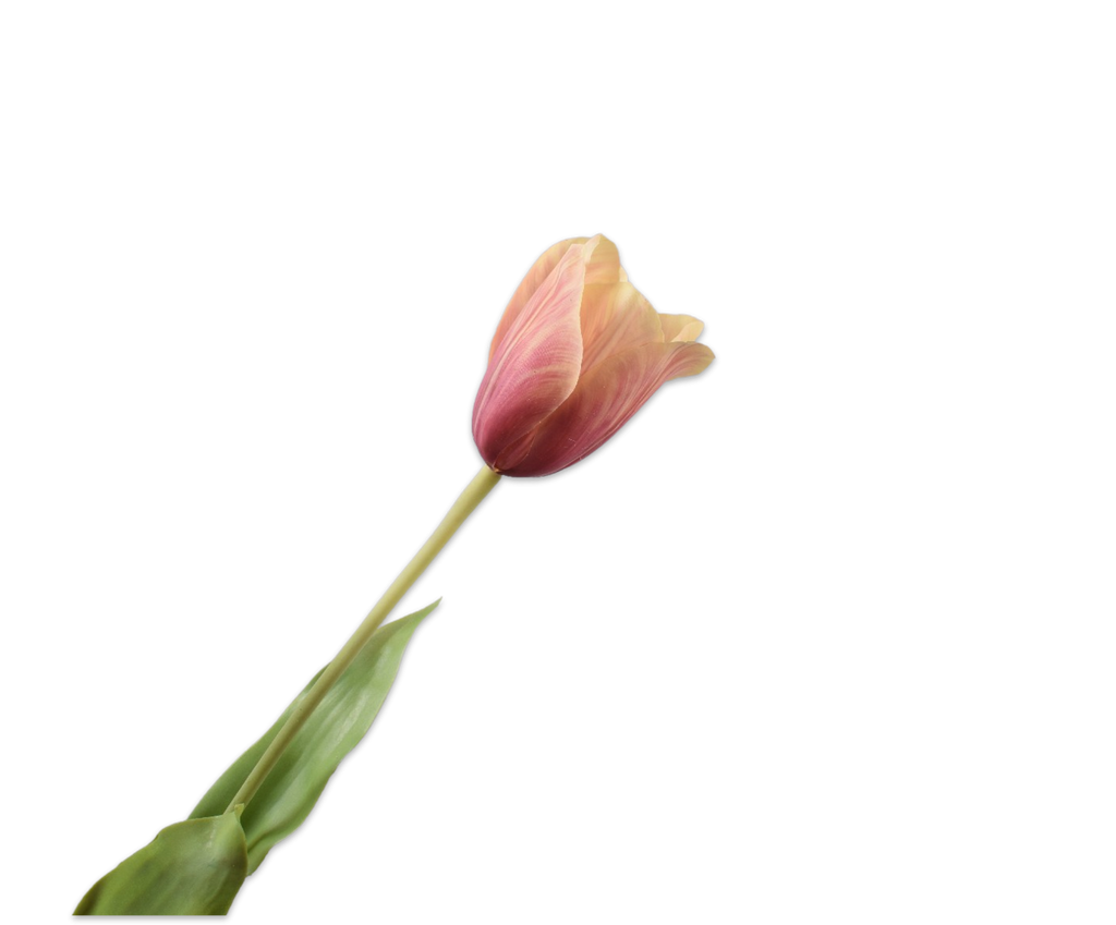 Tulip | Tulipe 72cm Mauve