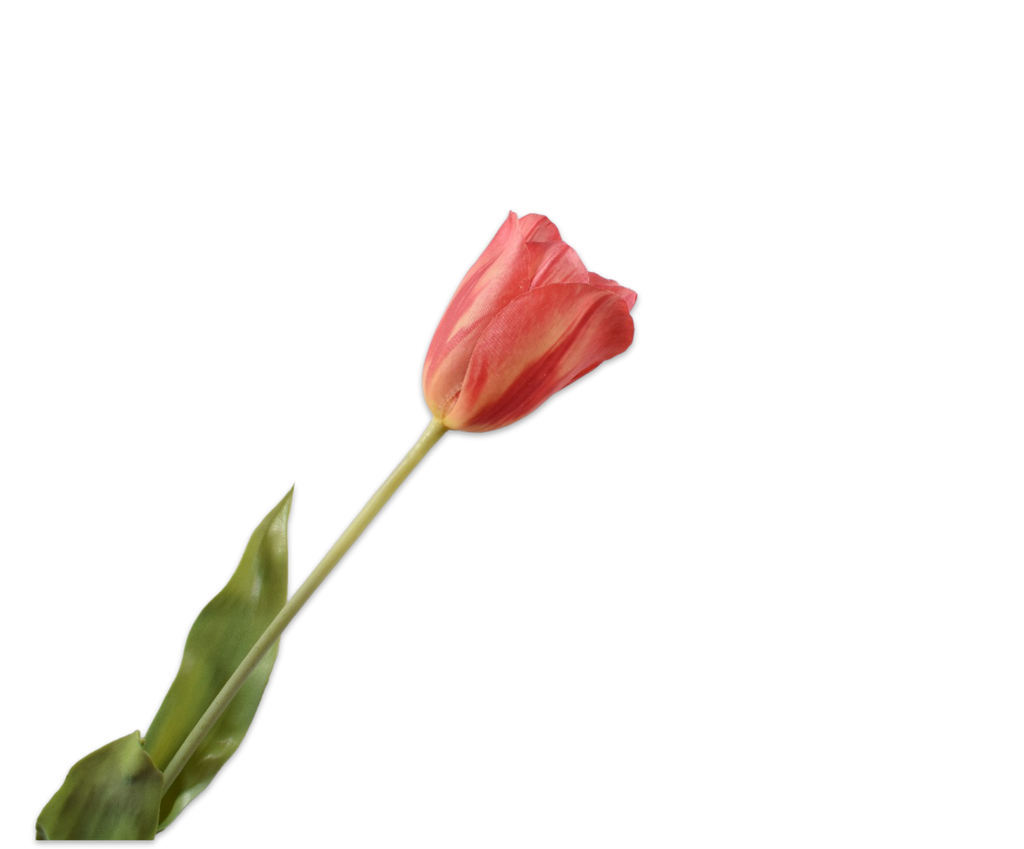 Tulip | Tulipe 72cm Red Yellow