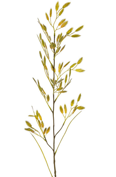 Woodoats | Chasmanthium latifolium 90cm Green