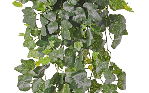 Ivy | Lierre 75cm UVsafe