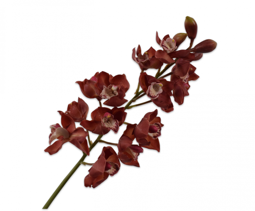 Orchid | Orchidée 86cm Burgundy