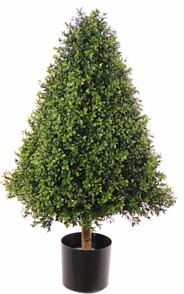 Buxus | Buis 90cm Pyramide UVsafe