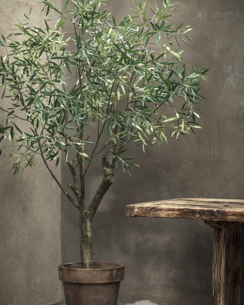 Olive | Olivier 198cm