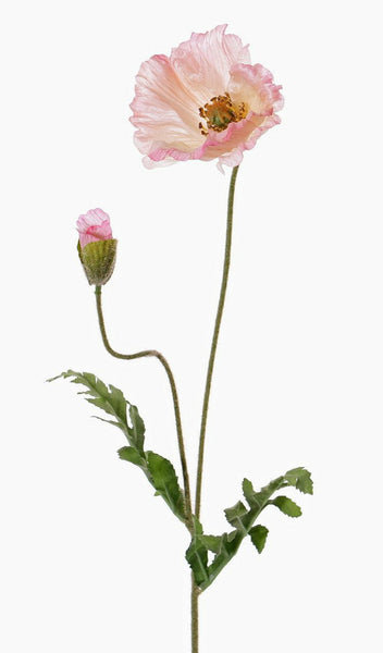 Poppy | Pavot 65cm Pink